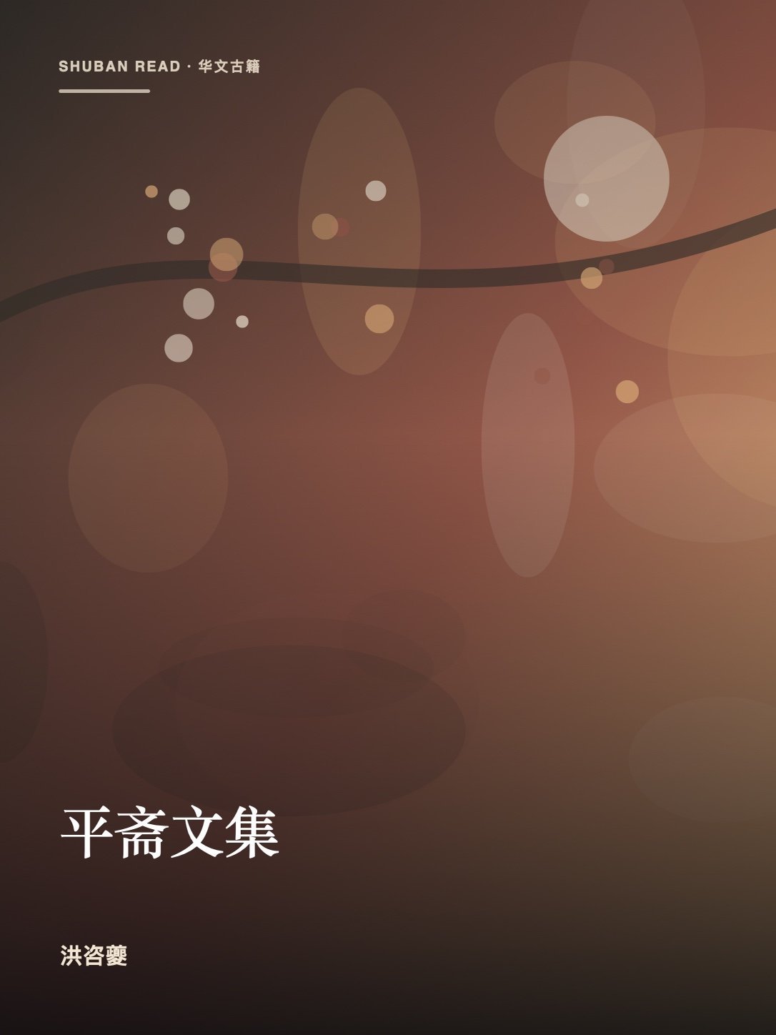 《平斋文集》封面