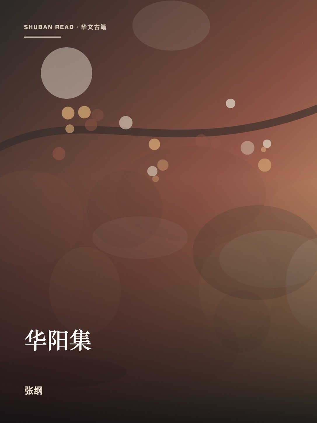 《华阳集》封面